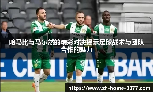 3377体育官网