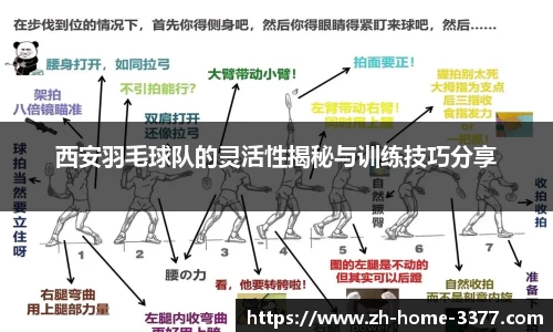 体育投注官网